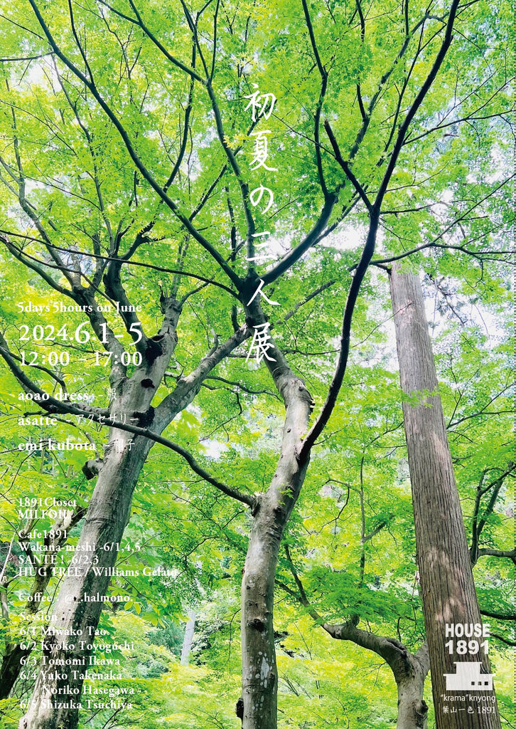 5days5hours6月【 初夏の3人展 】aoao dress / asatte / emi kubota(HOUSE1891 -葉山)