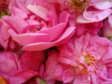 画像をギャラリービューアに読み込む, オススメ◎Paradisa : ローズオイル(3.5ml)