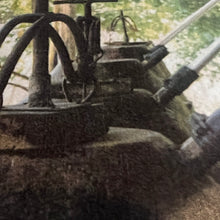 画像をギャラリービューアに読み込む, オススメ◎Paradisa : ローズオイル(3.5ml)