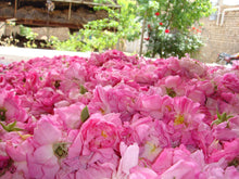 画像をギャラリービューアに読み込む, オススメ◎Paradisa : ローズオイル(3.5ml)