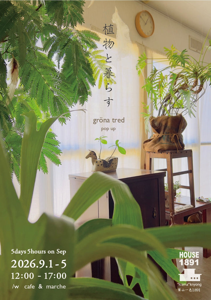 5days5hours9月【 植物と暮らす 】- gröna tred pop up - (HOUSE1891 -葉山一色)
